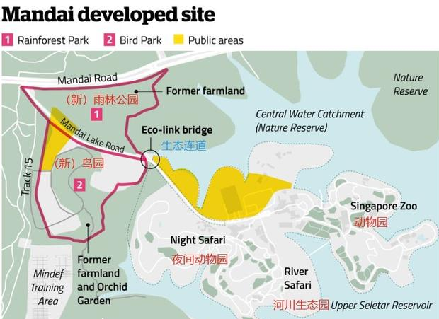 新加坡全新景点来袭，以后全岛有5个动物园