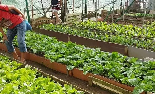 新加坡13个农场大盘点，溜娃周末休闲游最合适~