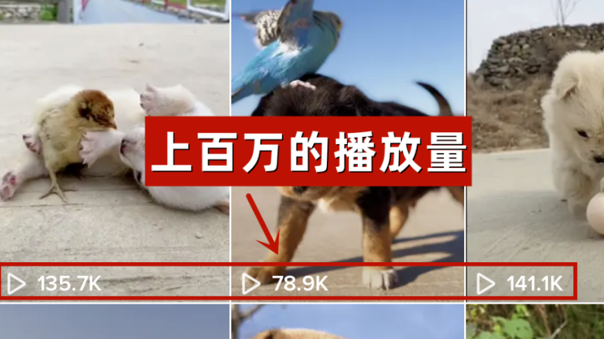 我靠海外Dǒu 音搬运视频，2个月赚了15万，你觉得过气的行业，真的很赚钱！
