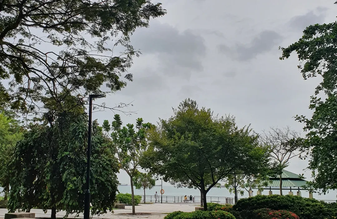 超浪漫海滩森林！新加坡南部这个保护区还有谁没去过？！