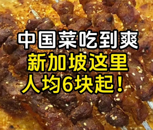 中国菜吃到爽新加坡这里人均6块起！