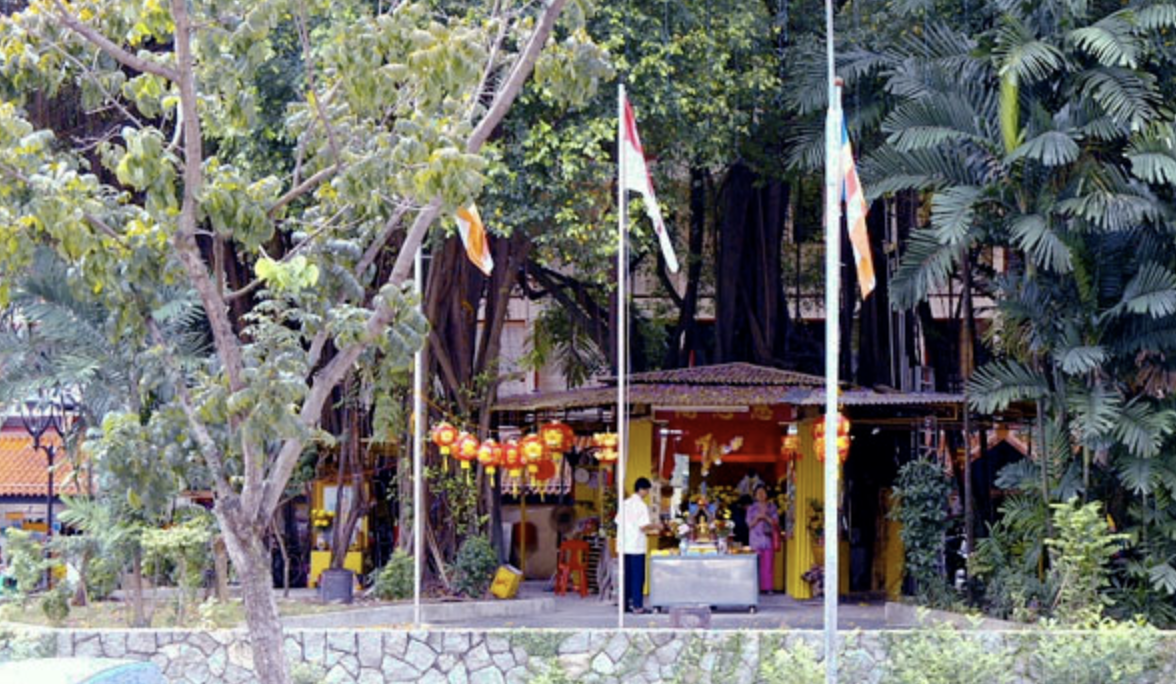 新加坡这11条徒步路线，你肯定没去过！