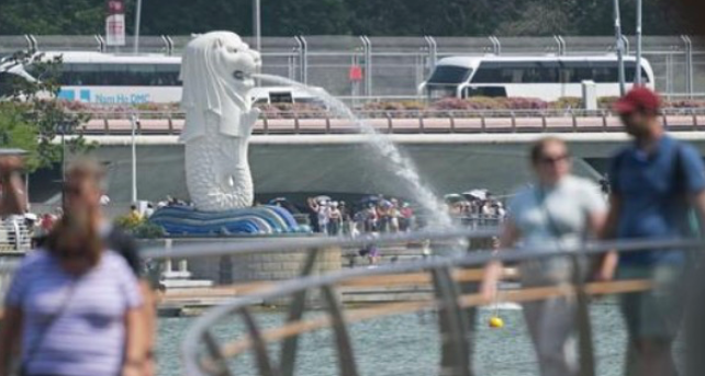 恭喜！今年这三类人更容易拿到新加坡PR！