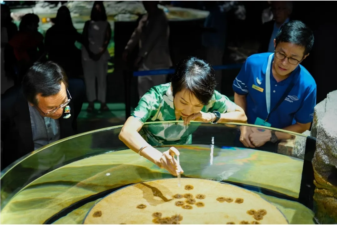 宝妈必看！新加坡海洋生态馆盛大开幕！门票火热开售中~