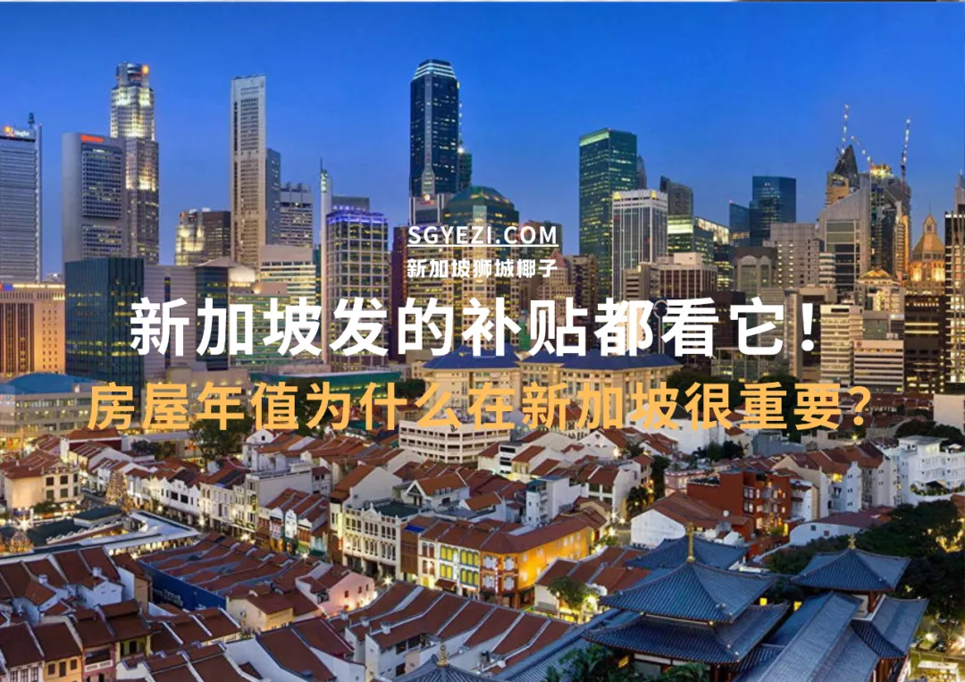 拿政府补贴看它！新加坡房子竟还有这个功能
