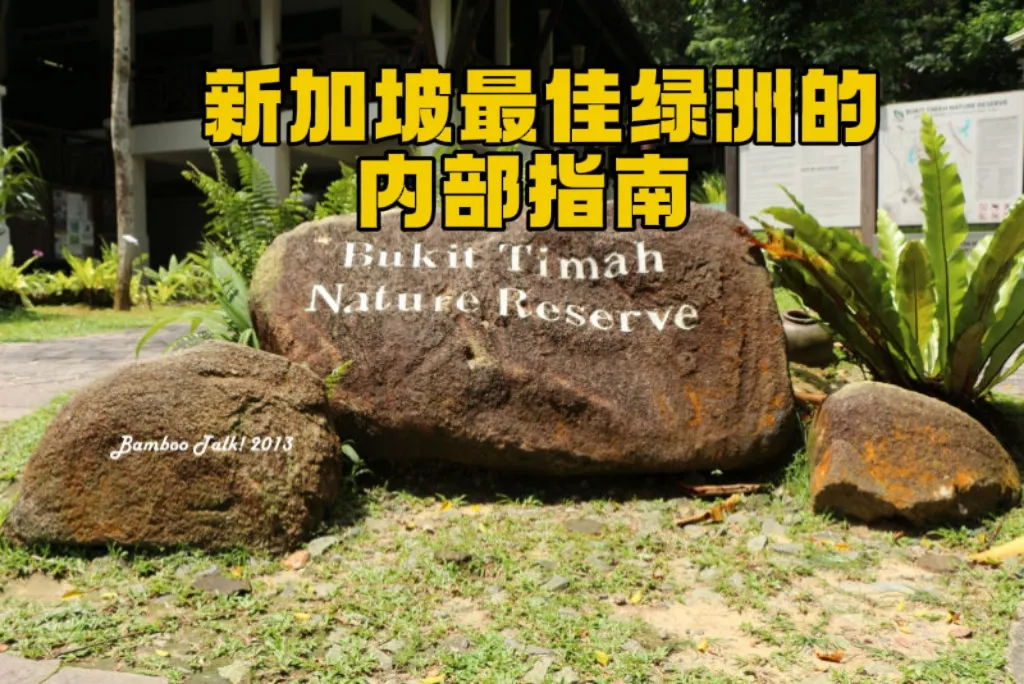 新加坡最佳绿洲 — 武吉知马自然保护区