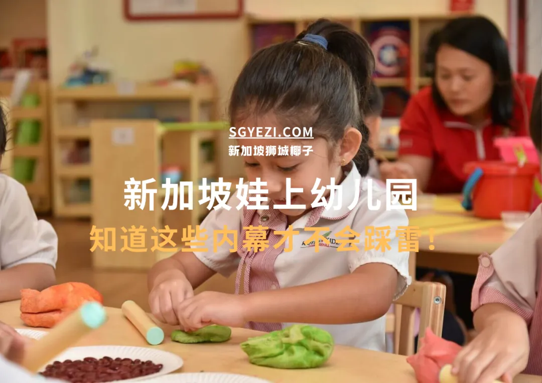 娃要上新加坡幼儿园，该怎么选？