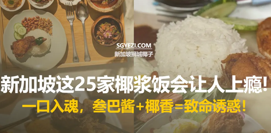新加坡25家最佳椰浆饭！有米其林认证餐厅