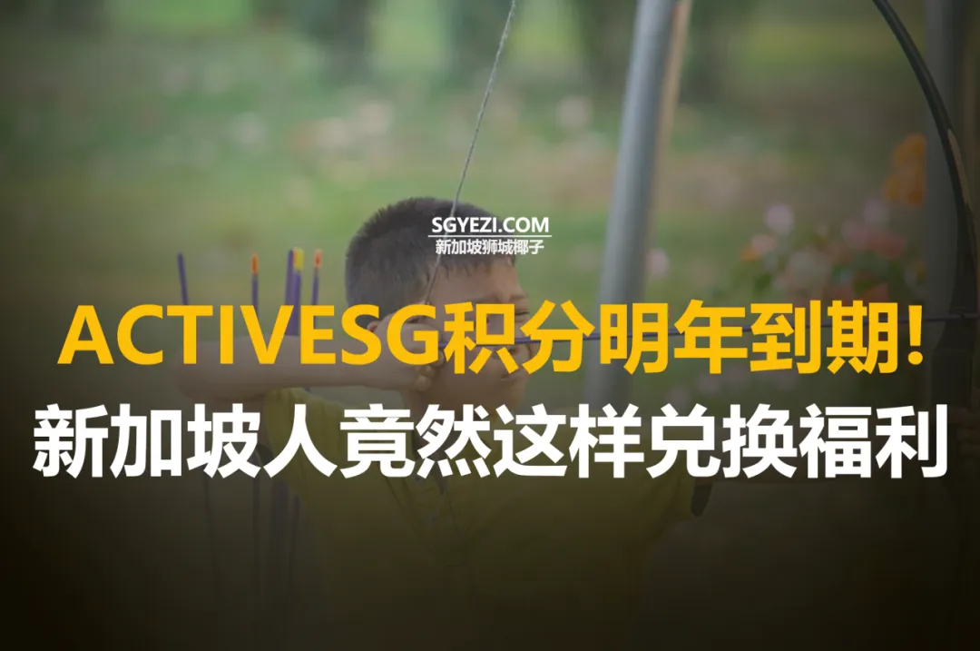 新加坡政府给的100新元，另类使用方法！