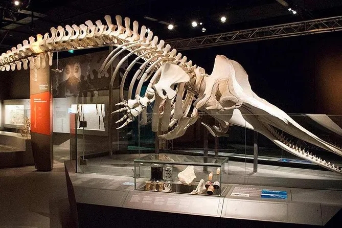 新加坡非自然历史博物馆快闪展，太帅了！