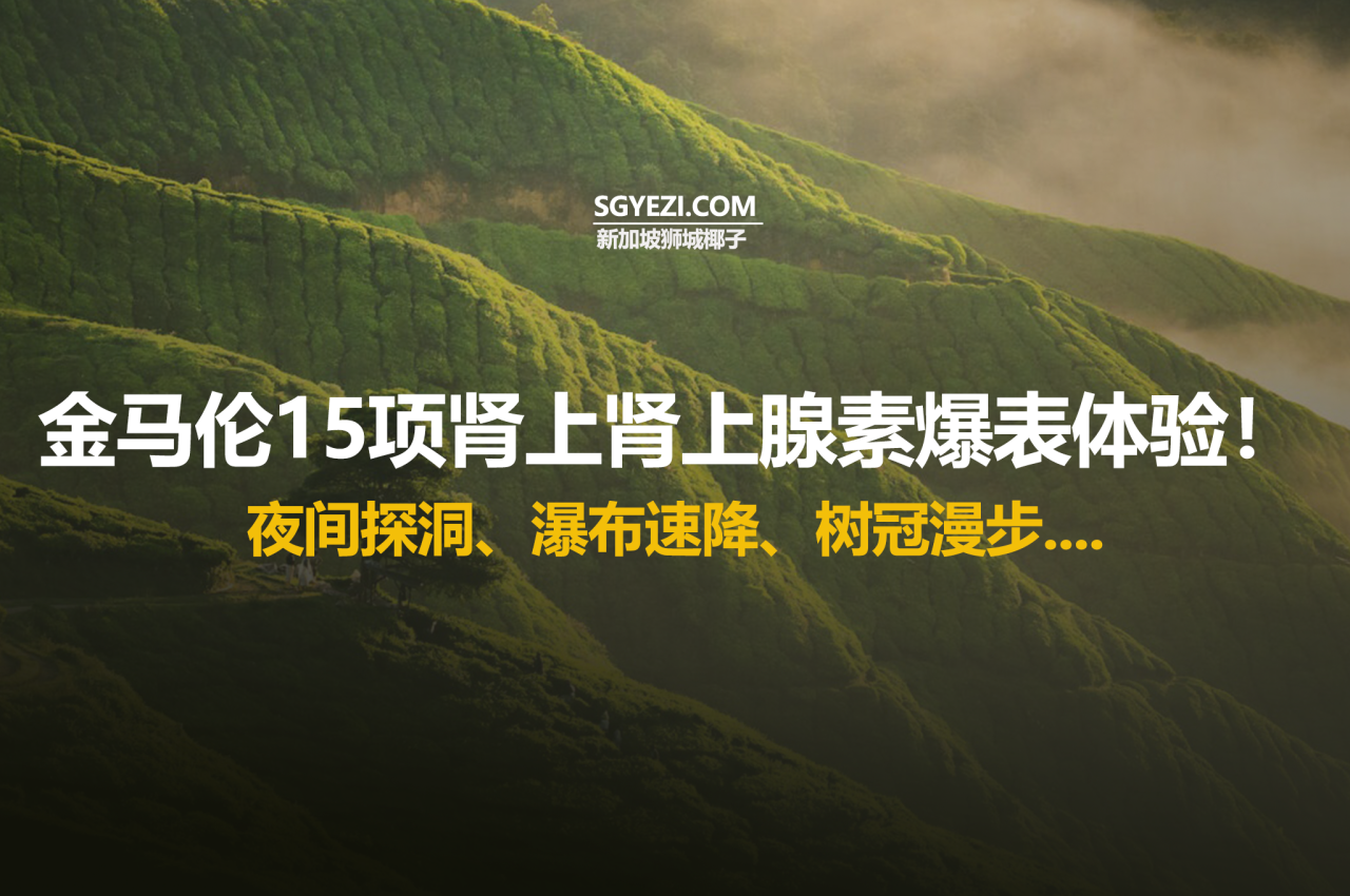 马来西亚金马伦高原！15个酷炫活动太爽了