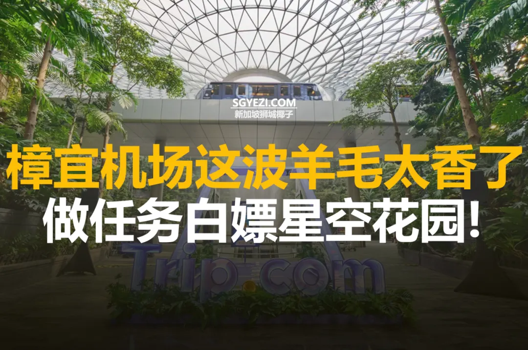 每周末在樟宜机场游乐场完成4个简单任务，即可免费获得游乐场门票