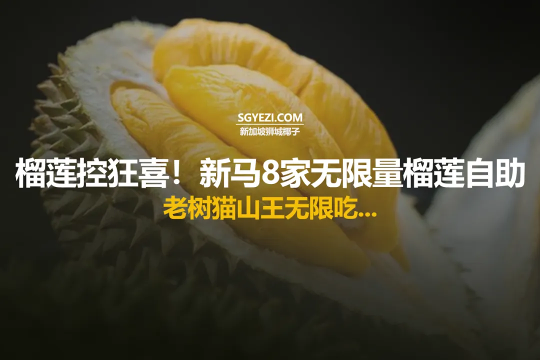 新加坡与柔佛州8家最佳榴莲自助餐