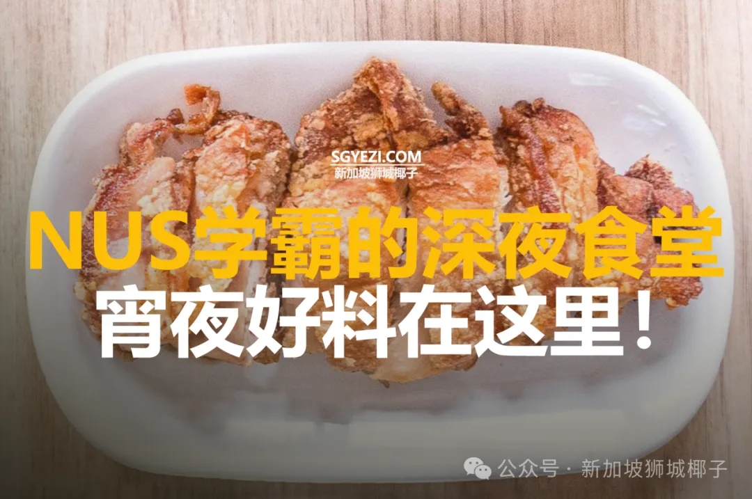 新加坡国立大学15家必尝的美食