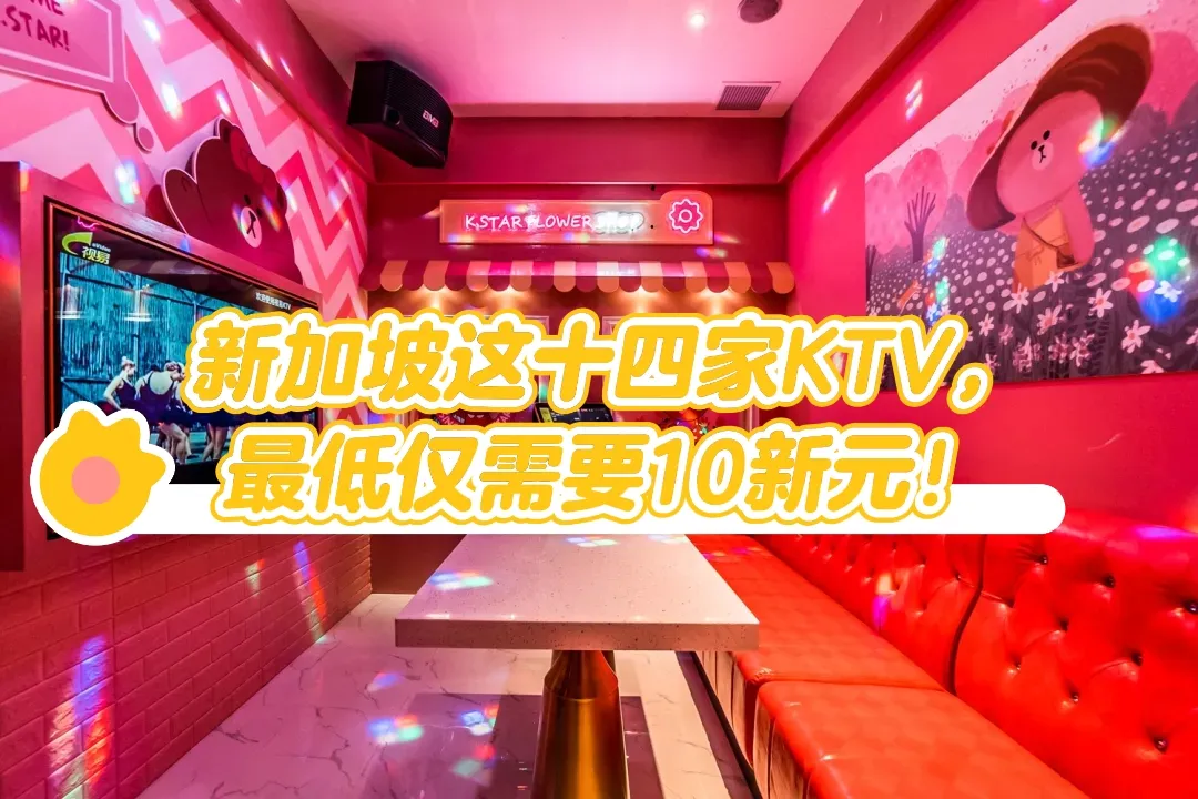 新加坡14家KTV场所，最低每小时仅需10新元