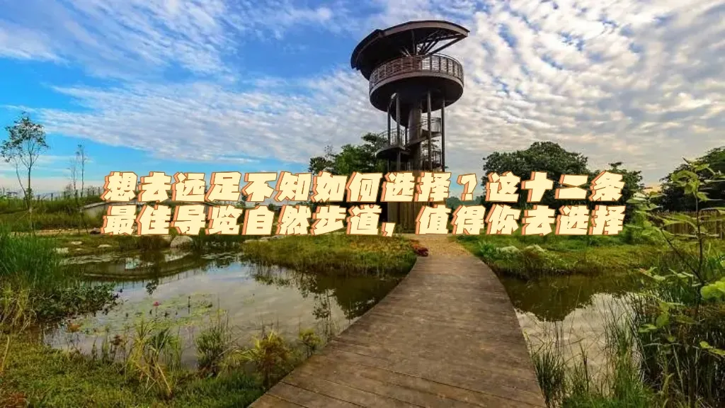 新加坡12条最佳自然步道，凉爽风景美