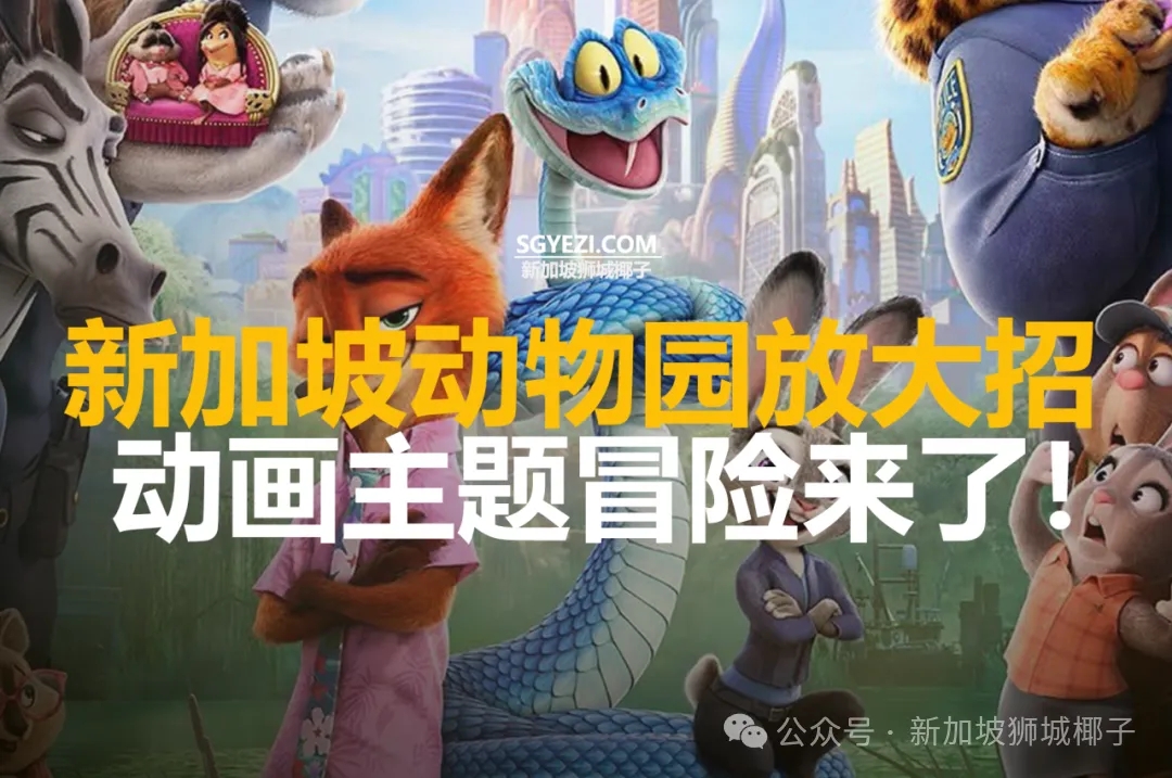 新加坡动物园放大招！动画主题冒险来了