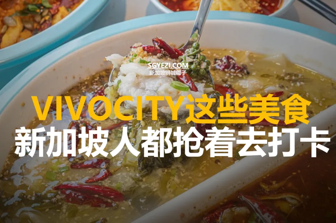 推荐30家VivoCity 美食店！