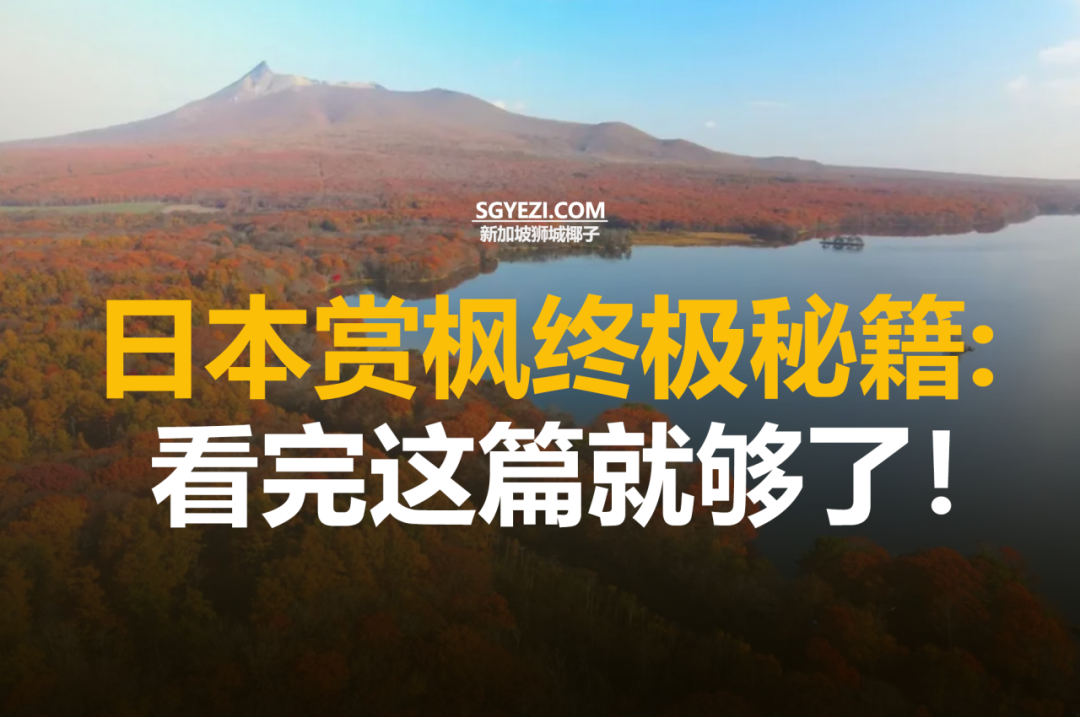 日本最佳赏秋叶地点推荐，按各府县分类