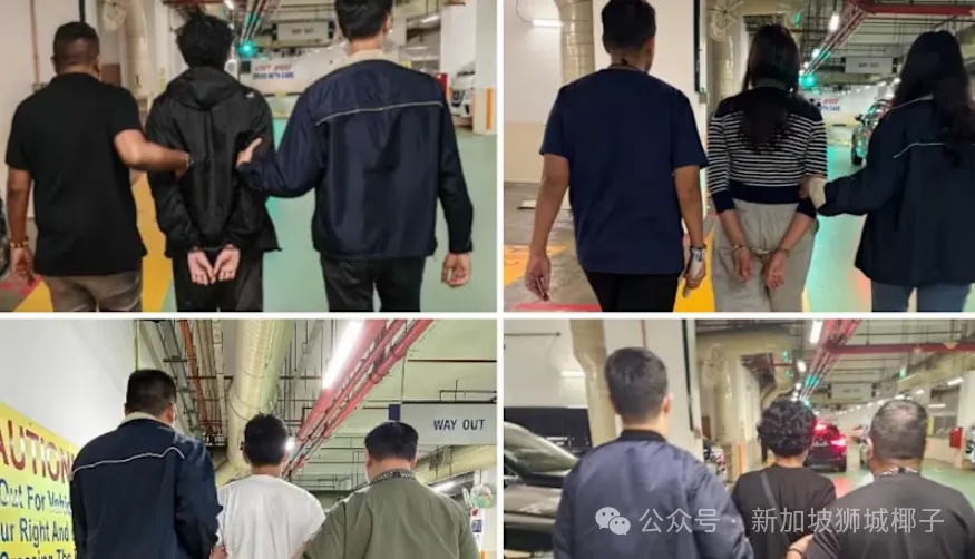 一周时间，他被骗共110万新币，通过金条、加密货币、转账！新加坡全岛逮捕24人