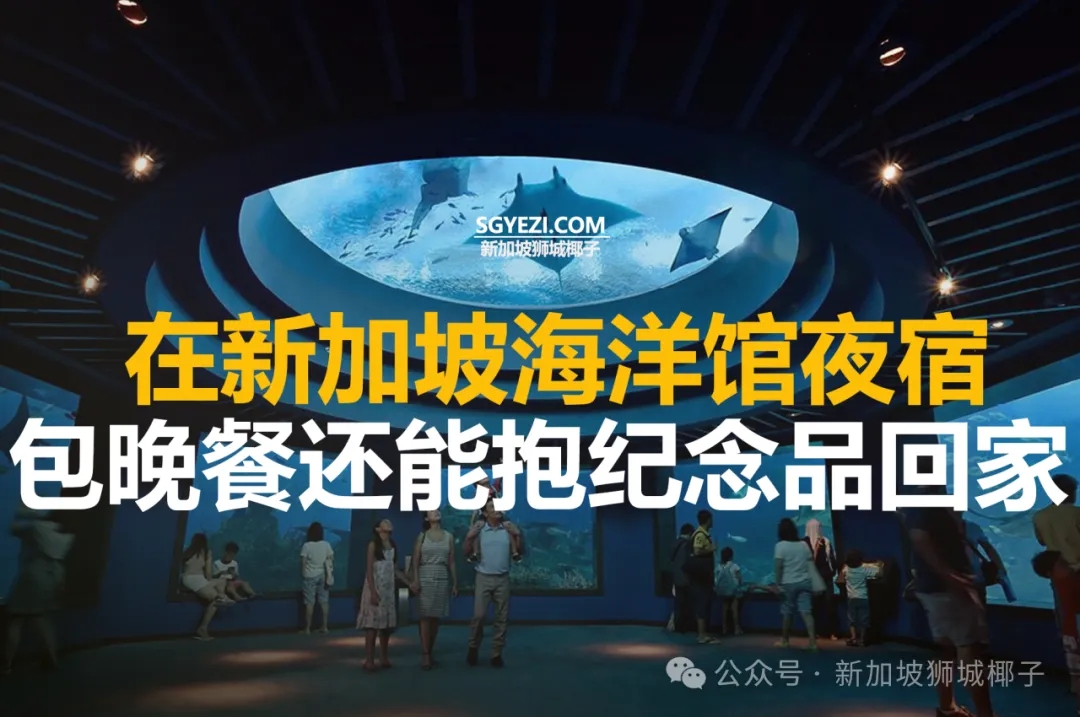 新加坡海洋馆奢华露营体验：家庭评测