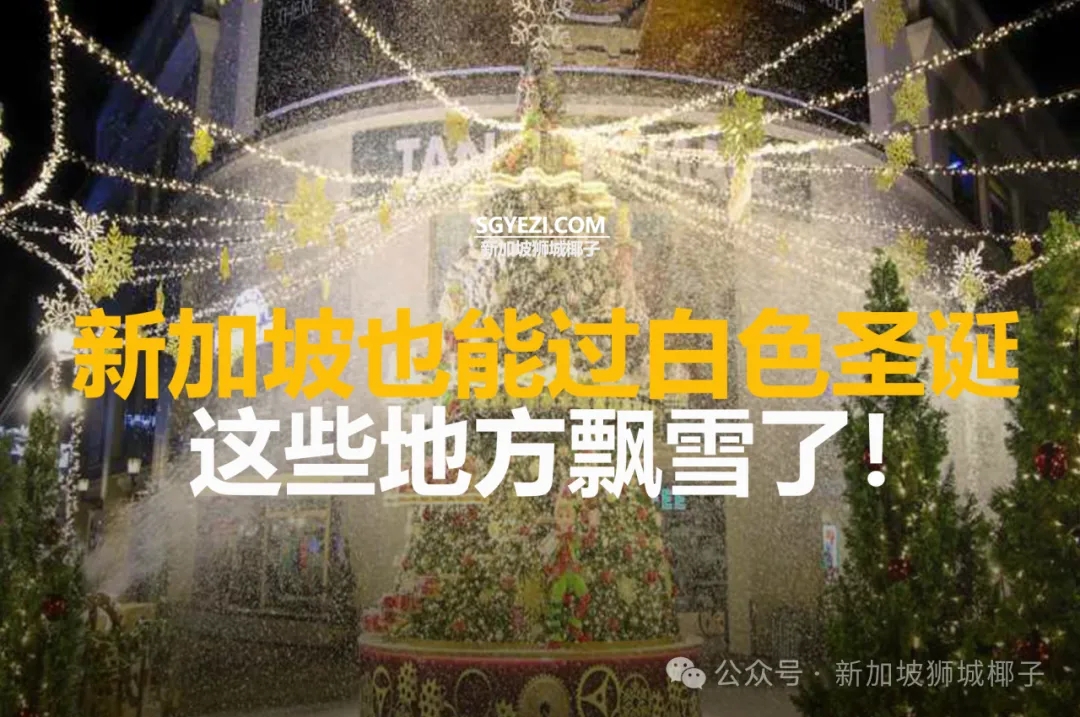 新加坡这些地方下雪了