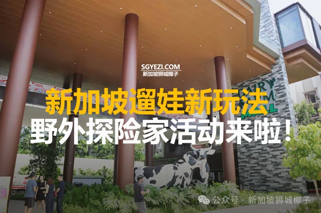 新加坡遛娃新玩法！野外探险家活动来啦