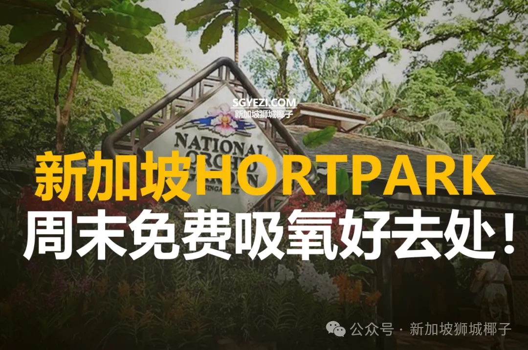 植物园探秘：11个绝美花园和儿童游乐场