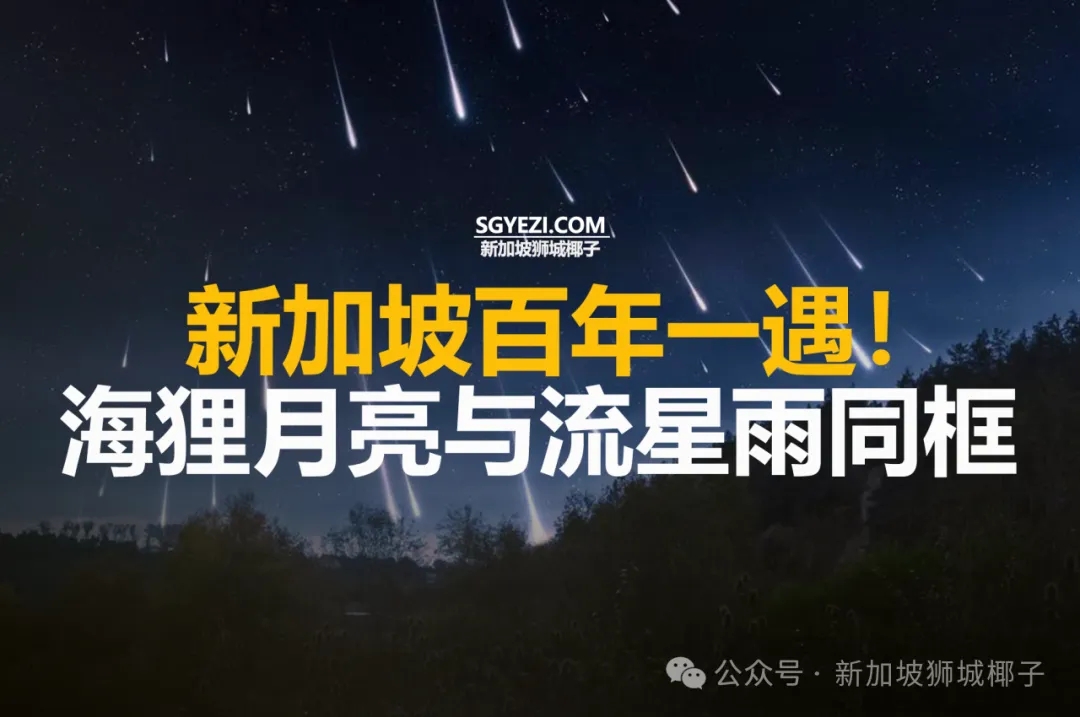 新加坡11月5日夜空大秀！海狸月亮与流星雨同框