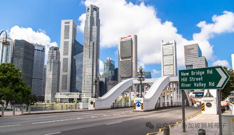 零经验也能开公司！企业3步落地新加坡！