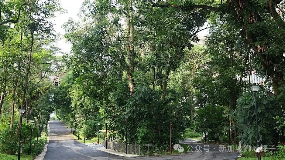 榜鹅北部这个遗产步道，你肯定没去过