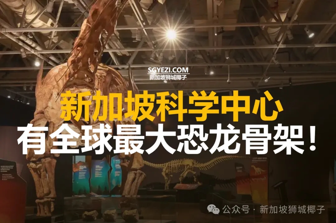 在新加坡科学中心，有全球最大恐龙骨架！