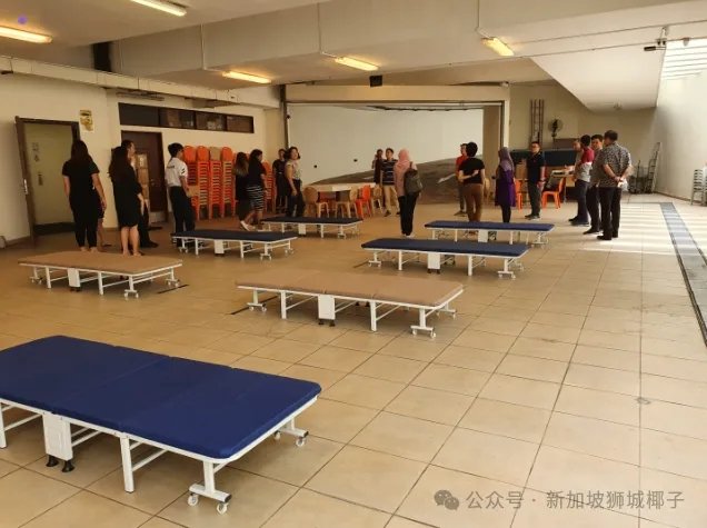 这两年，为什么新加坡35岁以下的流浪者变多了？