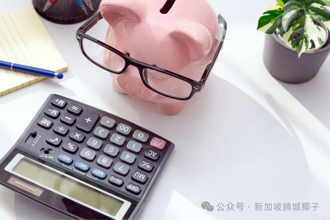 收入越高，扣税越多！新加坡这项计划所有人必须知道！