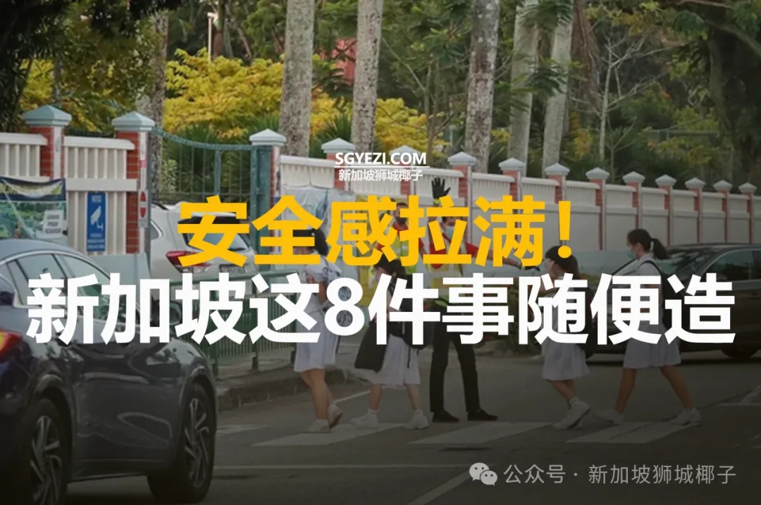 新加坡这8件事随便造