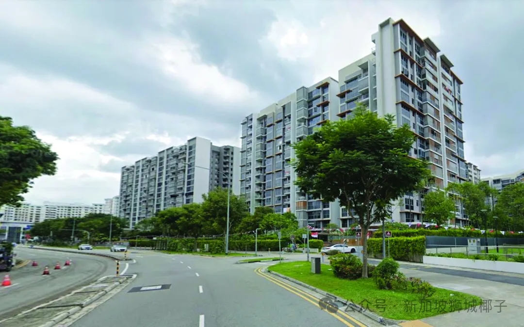 新加坡97%EC卖出去后，都获得了盈利！