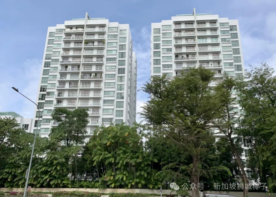 在乌节路！他卖掉房子后赚了530万新币！