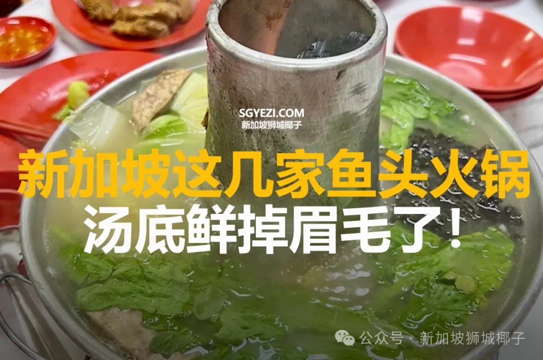 新加坡这11家鱼头火锅，汤底鲜掉眉毛