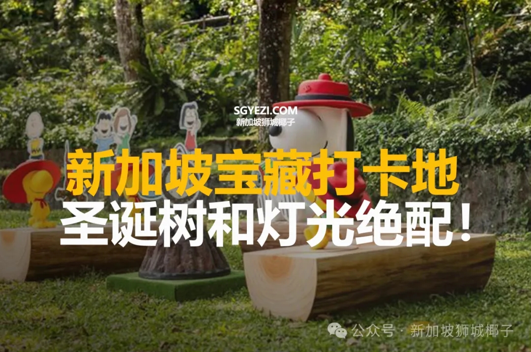 新加坡12个圣诞宝藏打卡地！