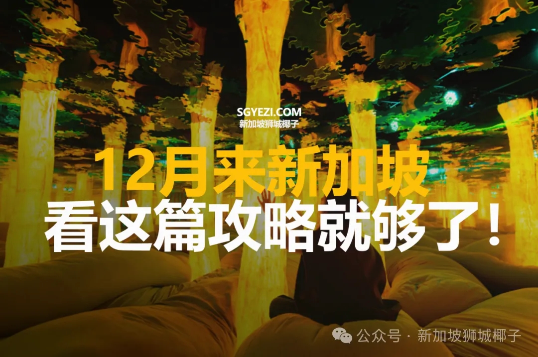 圣诞活动、泡泡玛特联名展...12月来新加坡，看这篇攻略就够了！