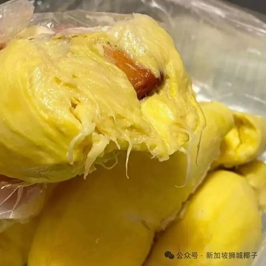 马来西亚产地猫山王榴莲包邮中国!一个也能发!