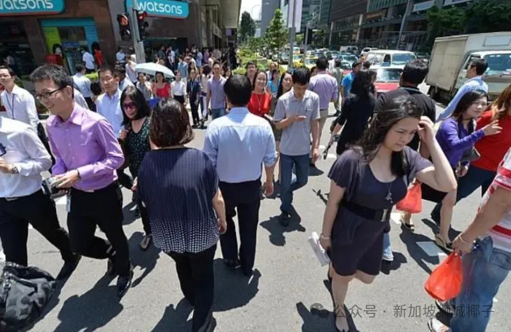 不想被两国征税？工资、分红、房产、养老金…在新加坡、中国两地的收入该在哪交税？