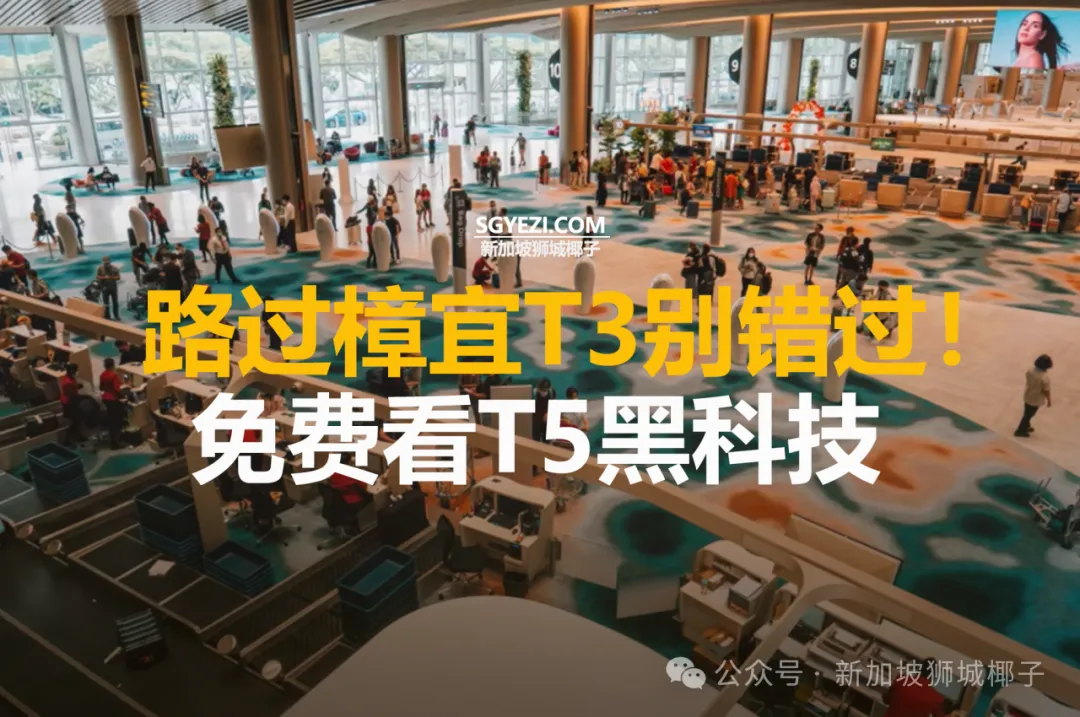 樟宜机场搞了一件大事！