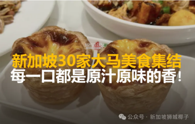 新加坡30家大马美食！