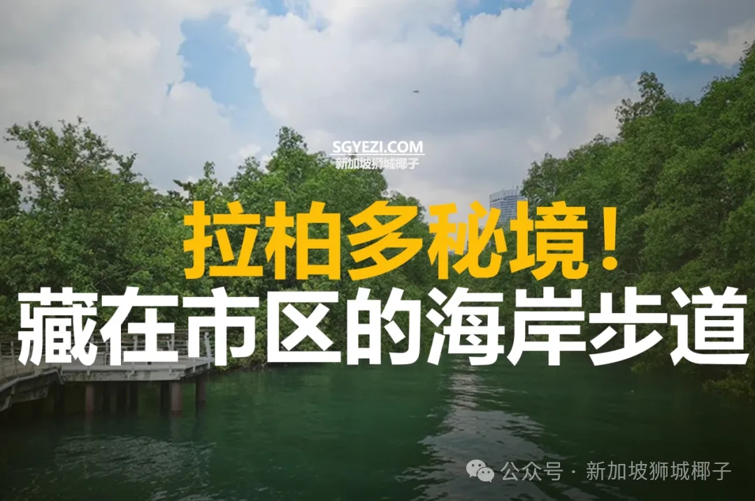 新加坡拉柏多公园的 8 个必打卡活动！