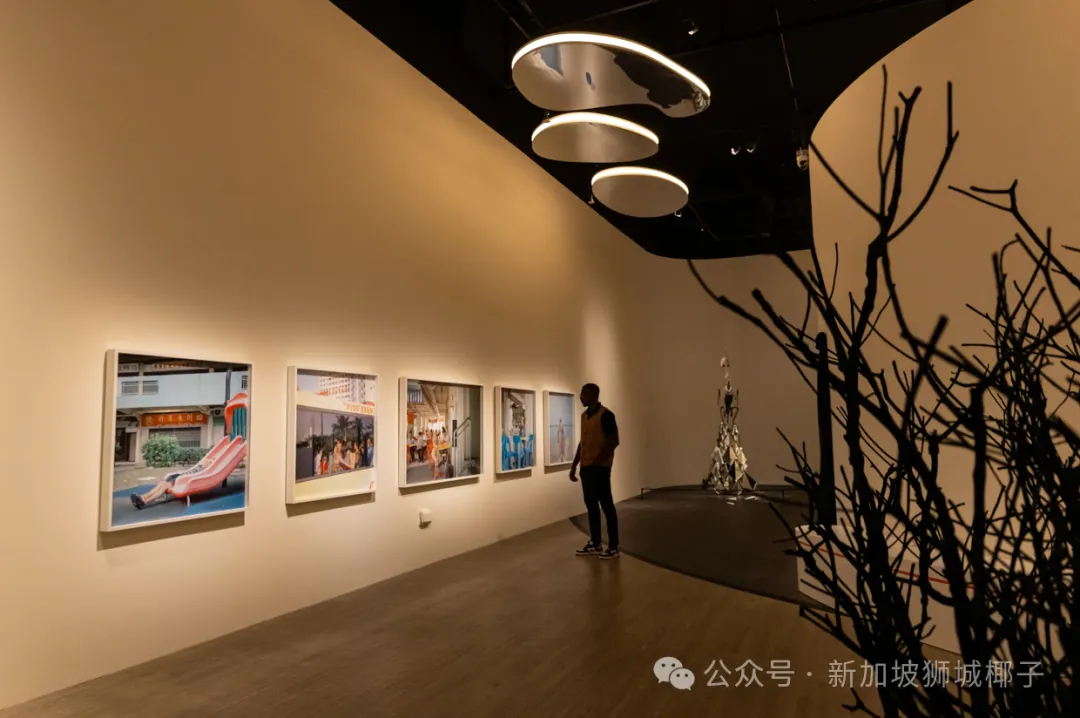 别再说新加坡无聊了！不花一分钱，来这14个地方高质量遛娃/看展/过周末~