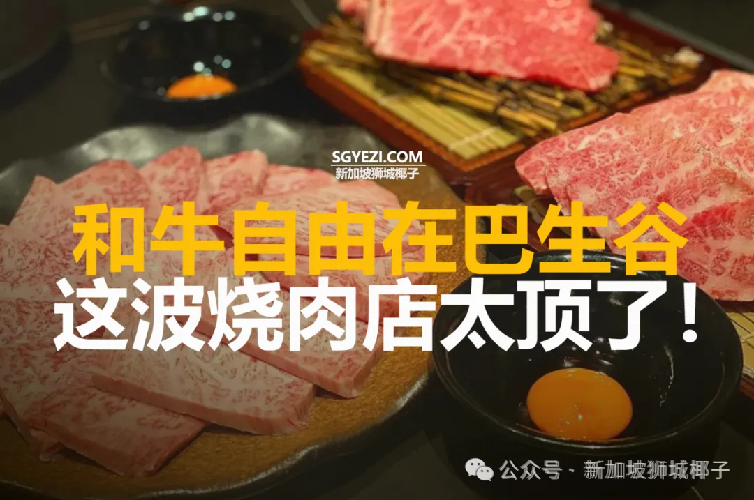 从新加坡去马来西亚旅游，这么做可享受和牛自由~