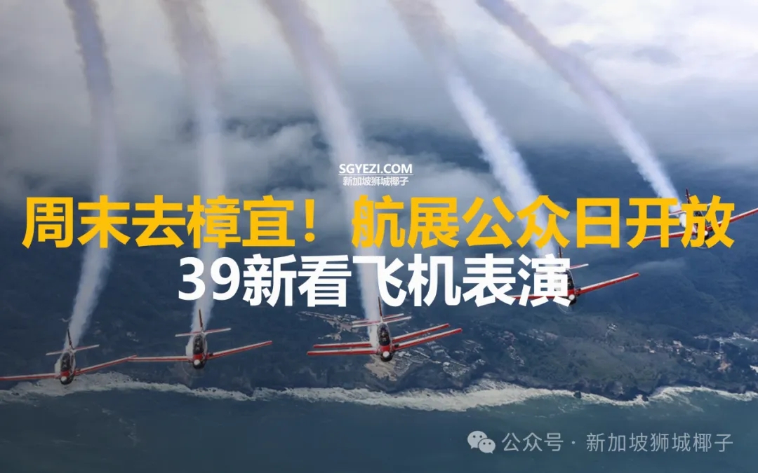 最新！新加坡航展超全攻略！票价、飞行表演时间表、交通指南快收藏