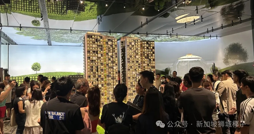 新加坡房产经纪最怕什么？不是市场冷，是中国人搜不到你