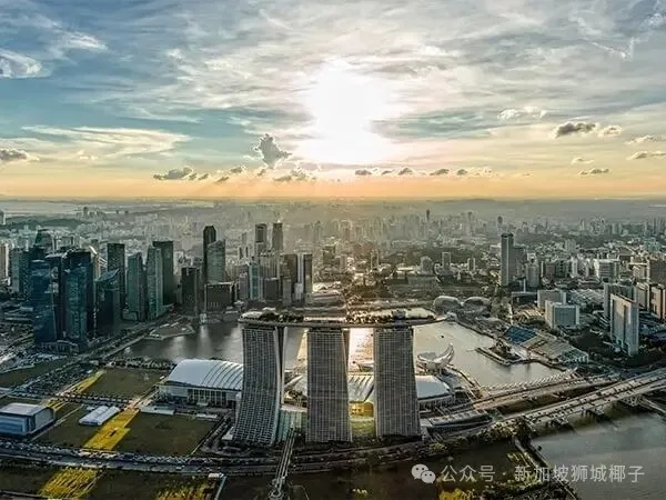 告别空置期！寻找新加坡一手房东，专享高端租客库~